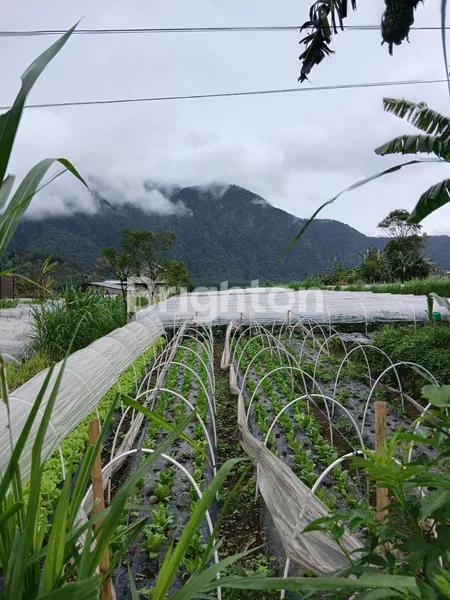 image DIJUAL: LAHAN EKSKLUSIF VIEW DANAU BERATAN – CANDIKUNING, TABANAN (3)