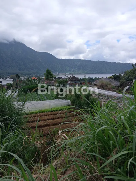 image DIJUAL: LAHAN EKSKLUSIF VIEW DANAU BERATAN – CANDIKUNING, TABANAN (1)