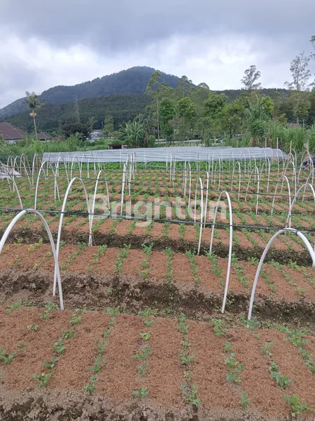 image DIJUAL: LAHAN EKSKLUSIF VIEW DANAU BERATAN – CANDIKUNING, TABANAN (4)