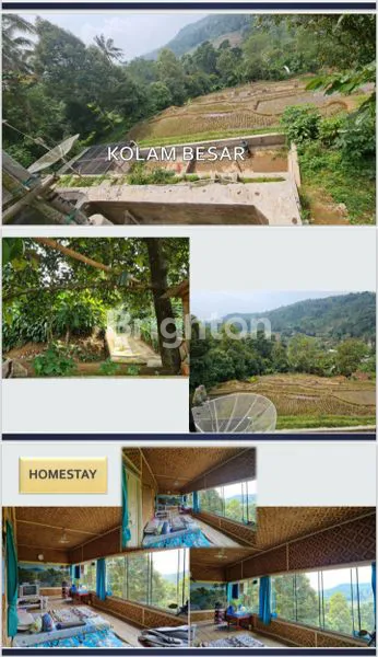 image TANAH LUAS 1738M² DI WANAYASA, PURWAKARTA HANYA RP350RB/M² (3)