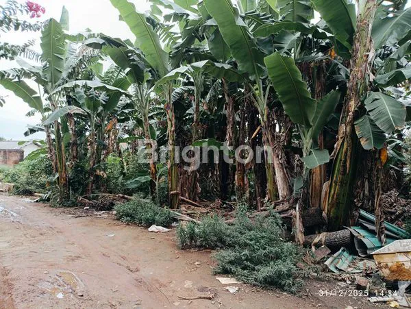 image TANAH STRATEGIS DI BELAKANG RS AIRAN, 398M² (3)