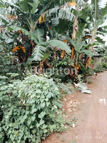 image TANAH STRATEGIS DI BELAKANG RS AIRAN, 398M² (8)