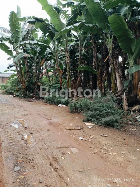 image TANAH STRATEGIS DI BELAKANG RS AIRAN, 398M² (5)