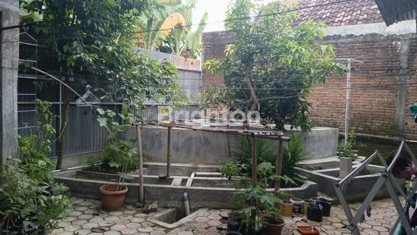 image RUMAH SATU LANTAI DI KARANGMALANG DEKAT PUSAT KOTA SRAGEN (8)