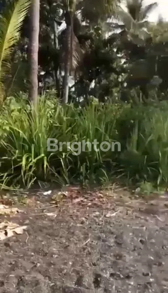 image RAYA AIRSANIH. TANAH DIJUAL (5)