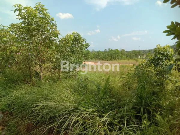 image TANAH LUAS 2 HEKTAR DI KM13, PINGGIR JALAN UTAMA (3)