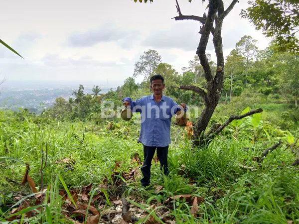 image LAHAN INVESTASI PREMIUM 1 HEKTAR, SHM, DEKAT WISATA (4)