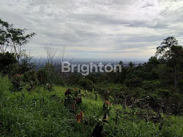 image LAHAN INVESTASI PREMIUM 1 HEKTAR, SHM, DEKAT WISATA (2)