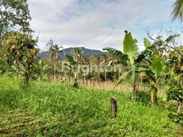 image LAHAN INVESTASI PREMIUM 1 HEKTAR, SHM, DEKAT WISATA (1)