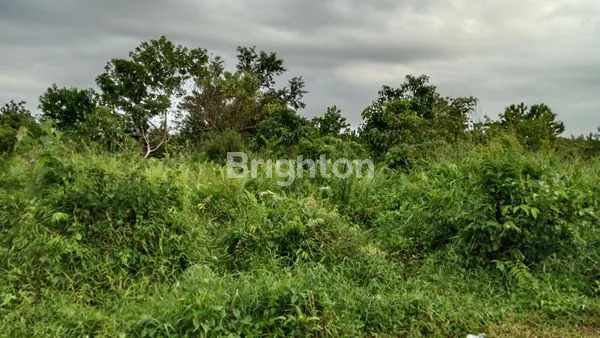 TANAH KOMERSIL STRATEGIS DI JALAN PURNAMA, PONTIANAK