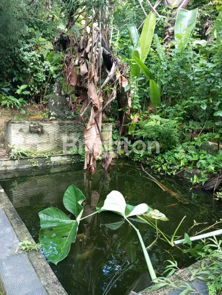 image TANAH + BANGUNAN EKS VILA DIJUAL DI SIDEMEN KARANGASEM, SUASANA SEJUK (7)