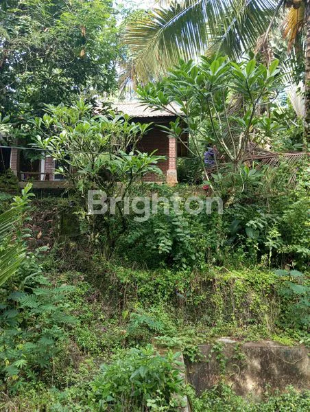 image TANAH + BANGUNAN EKS VILA DIJUAL DI SIDEMEN KARANGASEM, SUASANA SEJUK (8)