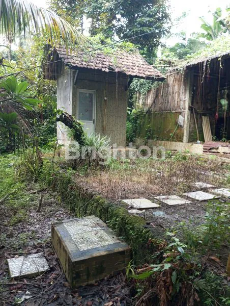 image TANAH + BANGUNAN EKS VILA DIJUAL DI SIDEMEN KARANGASEM, SUASANA SEJUK (4)