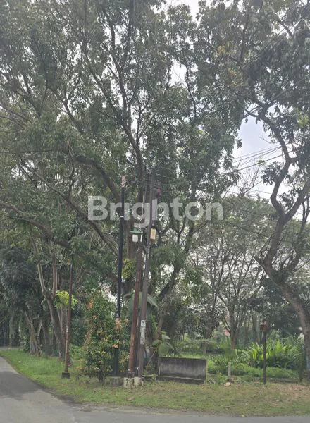 image TANAH STRATEGIS 25X40, DEKAT JALAN CEMARA (2)