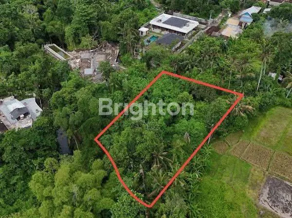 image LAHAN SEWA 20 ARE TABANAN (1)