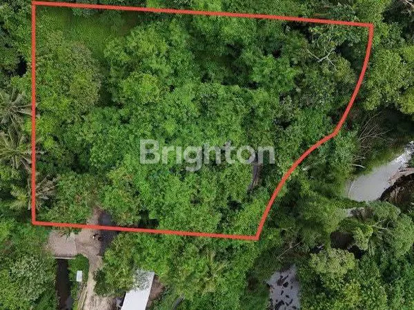 image LAHAN SEWA 20 ARE TABANAN (2)