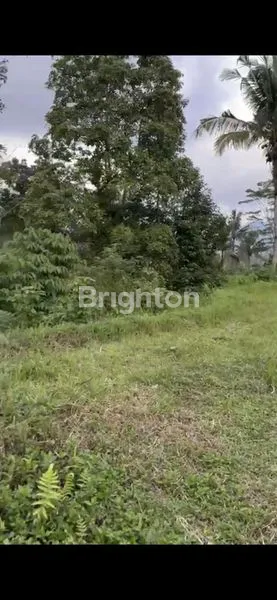 image TANAH PINGGIR JALAN DAN VIEW SUNGAI AREA SIDEMEN\N (1)