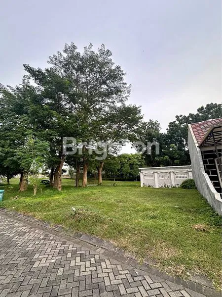 image TANAH HOOK PALMA CLASSICA CITRALAND  (1)