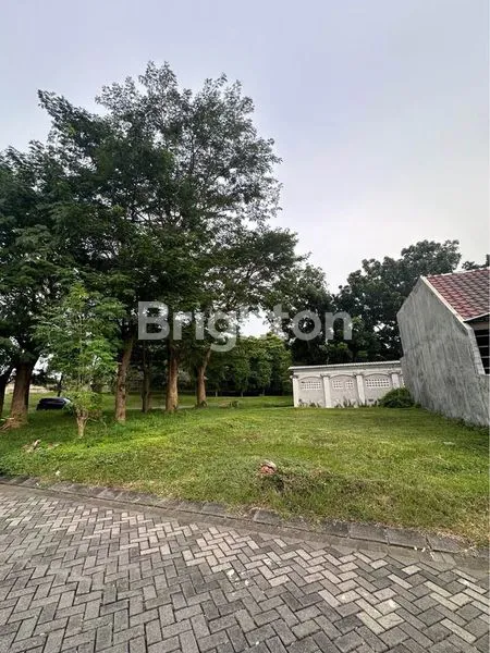 image TANAH HOOK PALMA CLASSICA CITRALAND  (2)