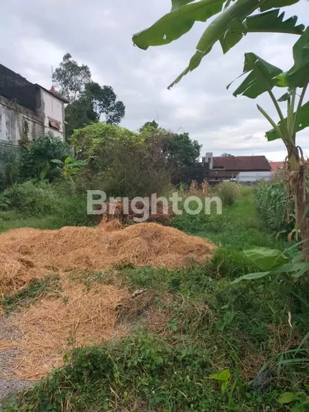 image TANAH LUAS 2.155M² DI SARIHARJO, SLEMAN (3)