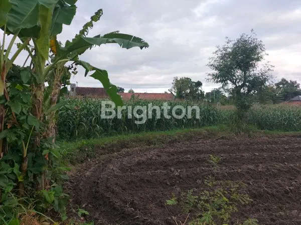 image TANAH LUAS 2.155M² DI SARIHARJO, SLEMAN (4)