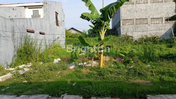 image TANAH DI BULAK KALITINJANG SURABAYA DEKAT PANTAI KENJERAN / LEBAK INDAH / PANTAI MENTARI\N (3)