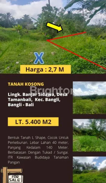 image INVESTASI TANAH PERKEBUNAN 5.400M², SHM (1)