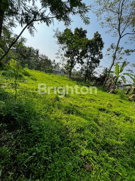 image TANAH LUAS 1500M², TURI PAKEM SLEMAN (4)