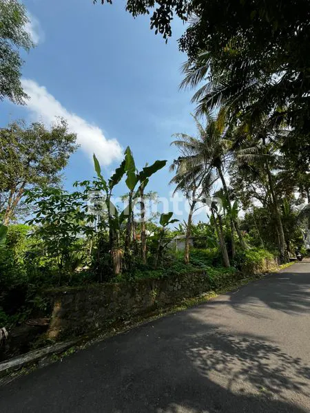 image TANAH LUAS 1500M², TURI PAKEM SLEMAN (2)