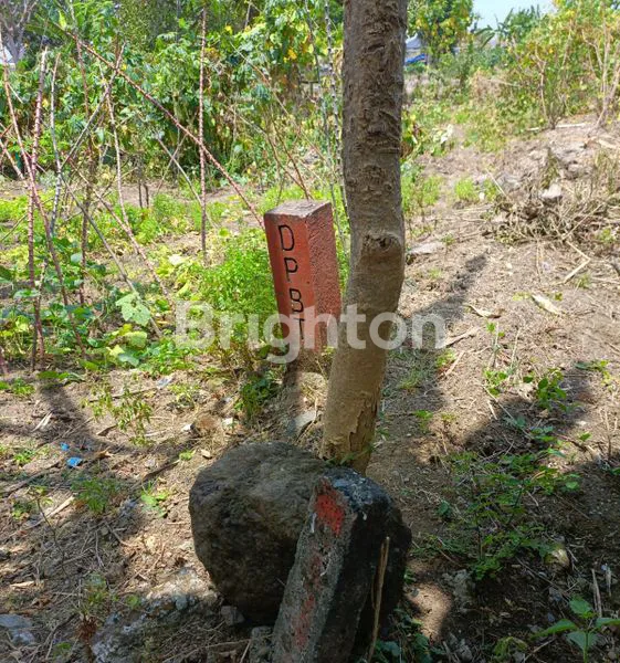 image TANAH DI RADIAL CITRALAND SURABAYA DEKAT G-WALK / RAYA LONTAR / PAKUWON INDAH (1)