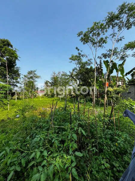 image TANAH LUAS 1500M², TURI PAKEM SLEMAN (3)