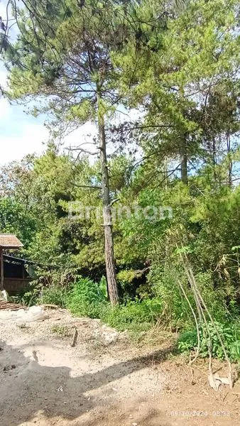 image TANAH 1.770M² DI MEKARWANGI, PEMANDANGAN CITY LIGHT, AKSES MOBIL (3)