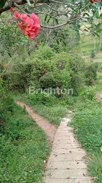 image TANAH 1.770M² DI MEKARWANGI, PEMANDANGAN CITY LIGHT, AKSES MOBIL (5)