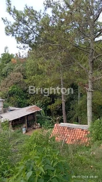 image TANAH 1.770M² DI MEKARWANGI, PEMANDANGAN CITY LIGHT, AKSES MOBIL (6)