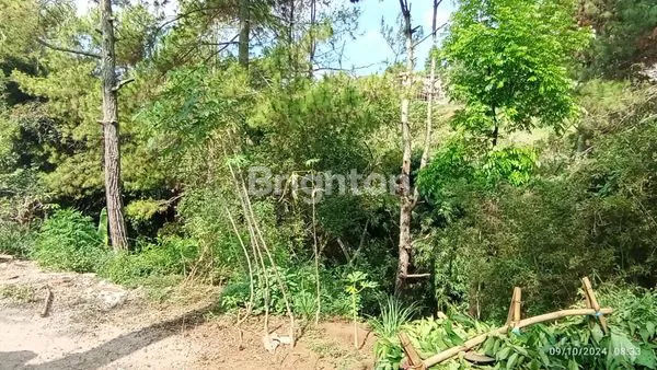 image TANAH 1.770M² DI MEKARWANGI, PEMANDANGAN CITY LIGHT, AKSES MOBIL (7)