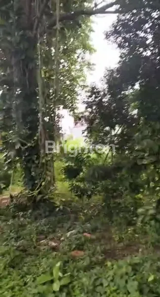 image DIJUAL TANAH PINGGIR JALAN TEPAT BANGUN CLUSTER DEKAT STASIUN PONDOK RANJI (4)