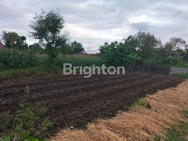 image TANAH LUAS 2.155M² DI SARIHARJO, SLEMAN (1)