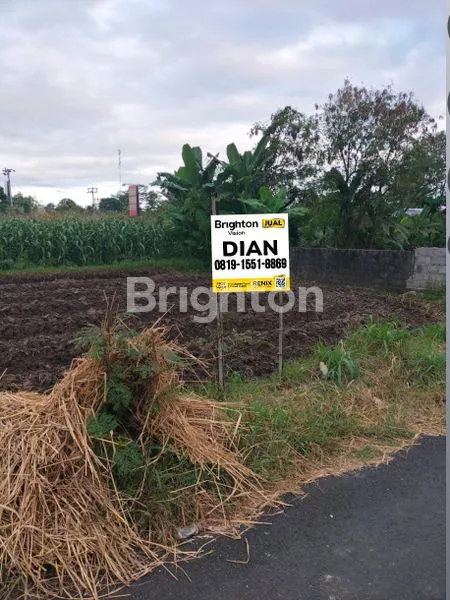 image TANAH LUAS 2.155M² DI SARIHARJO, SLEMAN (2)