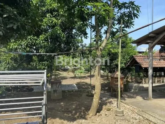 image RUMAH DENGAN PEKARANGAN LUAS DI KEPANJEN (2)