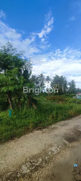 image TANAH LAMARU (1)