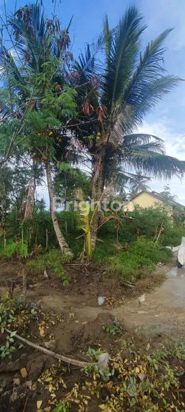 image TANAH LAMARU (1)