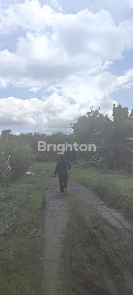 image TANAH LUAS 2500M² DI PAKISAJI, MALANG (5)