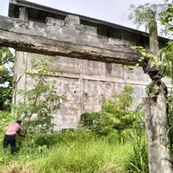 image SEWA GUDANG STRATEGIS DI KALIASEM, DEKAT PANTAI LOVINA (8)