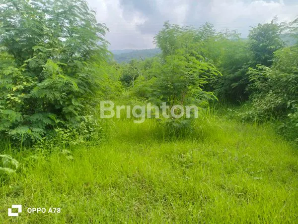 image SEWA GUDANG STRATEGIS DI KALIASEM, DEKAT PANTAI LOVINA (4)