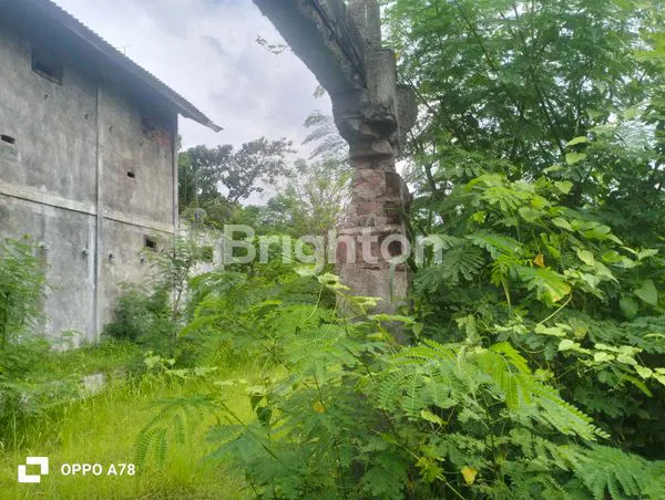 image SEWA GUDANG STRATEGIS DI KALIASEM, DEKAT PANTAI LOVINA (1)