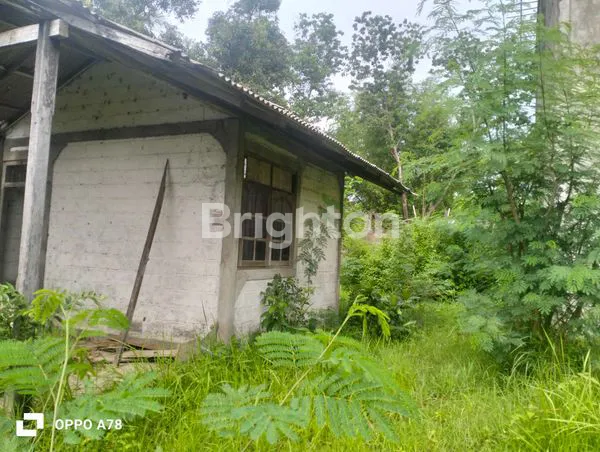 image SEWA GUDANG STRATEGIS DI KALIASEM, DEKAT PANTAI LOVINA (5)