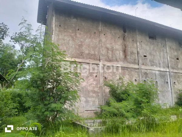 image SEWA GUDANG STRATEGIS DI KALIASEM, DEKAT PANTAI LOVINA (2)