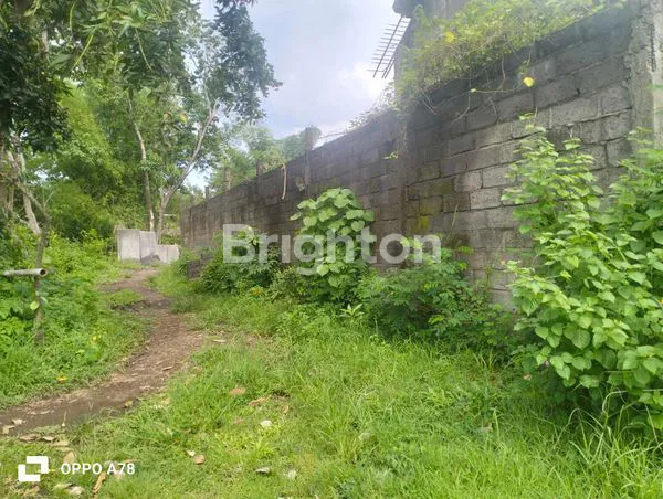 image SEWA GUDANG STRATEGIS DI KALIASEM, DEKAT PANTAI LOVINA (3)