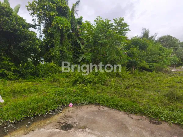 image TANAH ZONA KUNING DI KEDIRI - TABANAN (2)