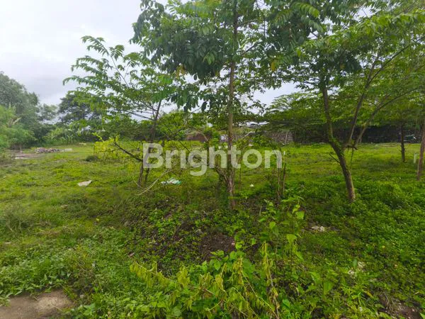 image TANAH ZONA KUNING DI KEDIRI - TABANAN (3)